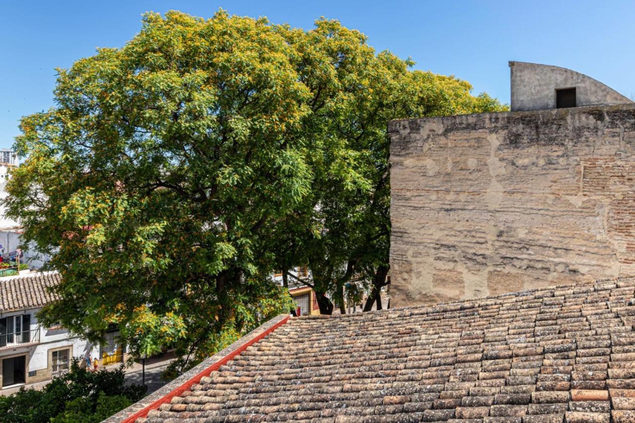 Casa amurallada MNueLa , wifi, garage opcional Jerez de la Frontera Bagian luar foto