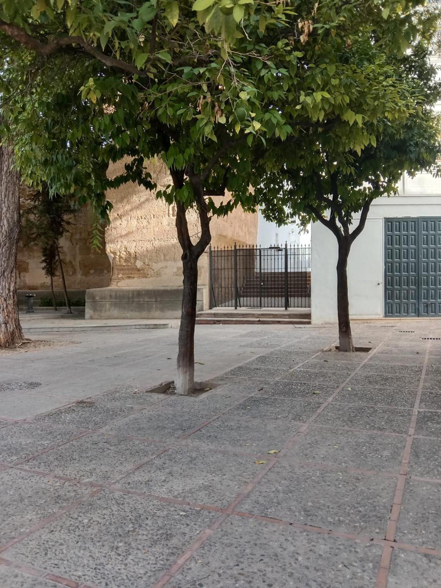 Casa amurallada MNueLa , wifi, garage opcional Jerez de la Frontera Bagian luar foto